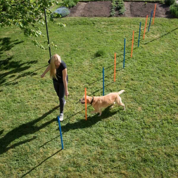 Kit de slalom Agility pour chien Loisirs et Sport – Image 3